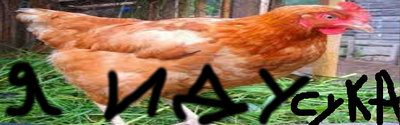 курица.jpg